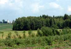 Foto Heidelbeerland Sturm in Summerau bei Rainbach/Mkr.